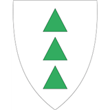 Grong kommunes støtteordninger